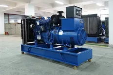 Groupe électrogène diesel de 100 kW pour une station d'expérimentation d'irrigation